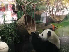 -无锡动物园·太湖欢乐园