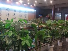 -九花山烤鸭店