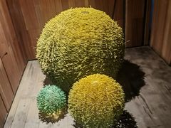 -明谷行馆·温泉