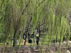 -西安汉城湖景区
