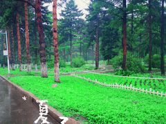 -黑龙江省森林植物园