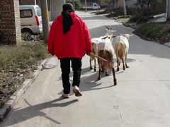 -洨河生态公园