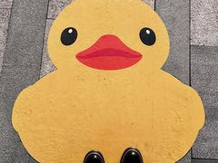 -深圳人才公园