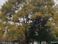 -云南师范大学(一二一西南联大校区)