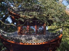 -涂山寺素食餐厅