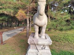 -北陵公园