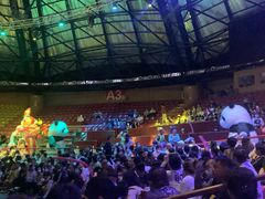 -俄罗斯国家大马戏团