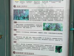 -嘉定紫藤园