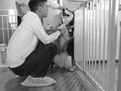 -Husky Go! 哈士奇体验馆·宠物咖啡厅狗咖