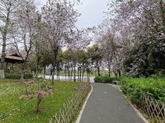-海珠湖公园