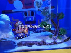 -海合安青岛极地海洋公园
