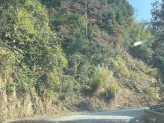 -玉苍山国家森林公园