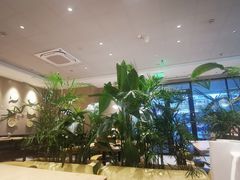 -必胜客(桐梓坡店)
