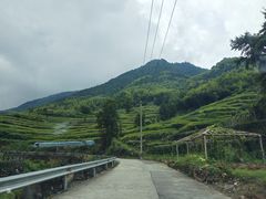 -MOJ coffee(瓯海泽雅水碓坑店)