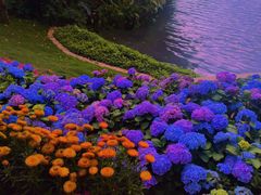 -荔湾湖公园