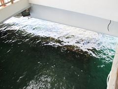 -夏威夷珍珠港