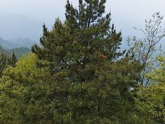 -塔云山