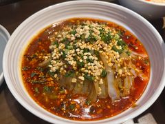 -向川南·水煮鱼·川菜(和平里店)