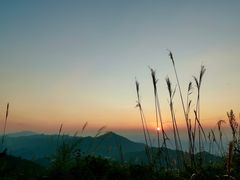 -武陵山森林公园