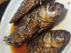 河鲫鱼-老宁波1381餐厅(宏泰广场店)