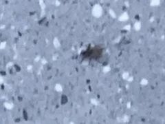 -悦然广场(北滘店)