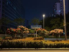 -天鹅湖体育公园
