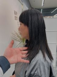 -藤野造型