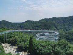 -鲁山国家森林公园