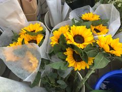 -秦美花卉(天朗·莱茵小城2期店)