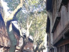 -乌镇东栅景区