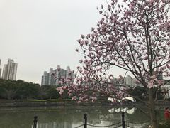 -苏州河梦清园环保主题公园