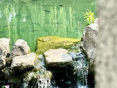-趵突泉景区