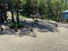 -千岛湖东南湖区