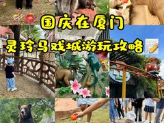 -灵玲国际马戏城