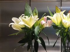 -鑫小城故事·藕汤·家常菜(台北一路总店)