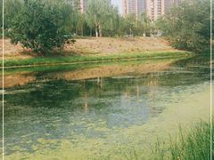 -东坝千亩湖公园