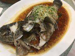 -頂好酒家·经典粤菜(海信广场店)