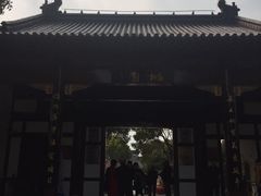 -南汇桃花村