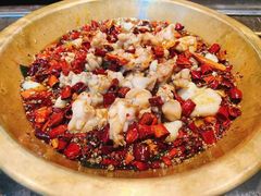 -永安水煮活鱼·仪征土菜院子