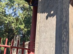 -关林