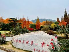 -习家池