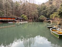 -灵栖洞天