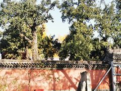 -承恩寺