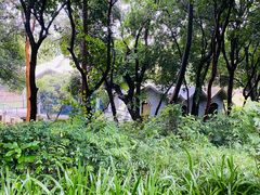 -紫马岭公园