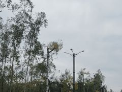 -汕尾风车岛