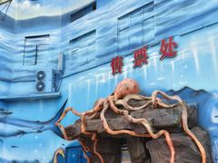 -多彩贵州城极地海洋世界