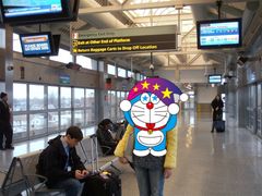 -约翰·菲茨杰拉德·肯尼迪国际机场