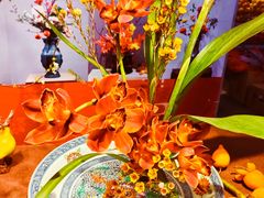 -越秀西湖花市(广州城市广场花卉店)
