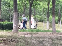 -永定河休闲森林公园