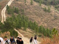-龟山风景区-龟山电视塔